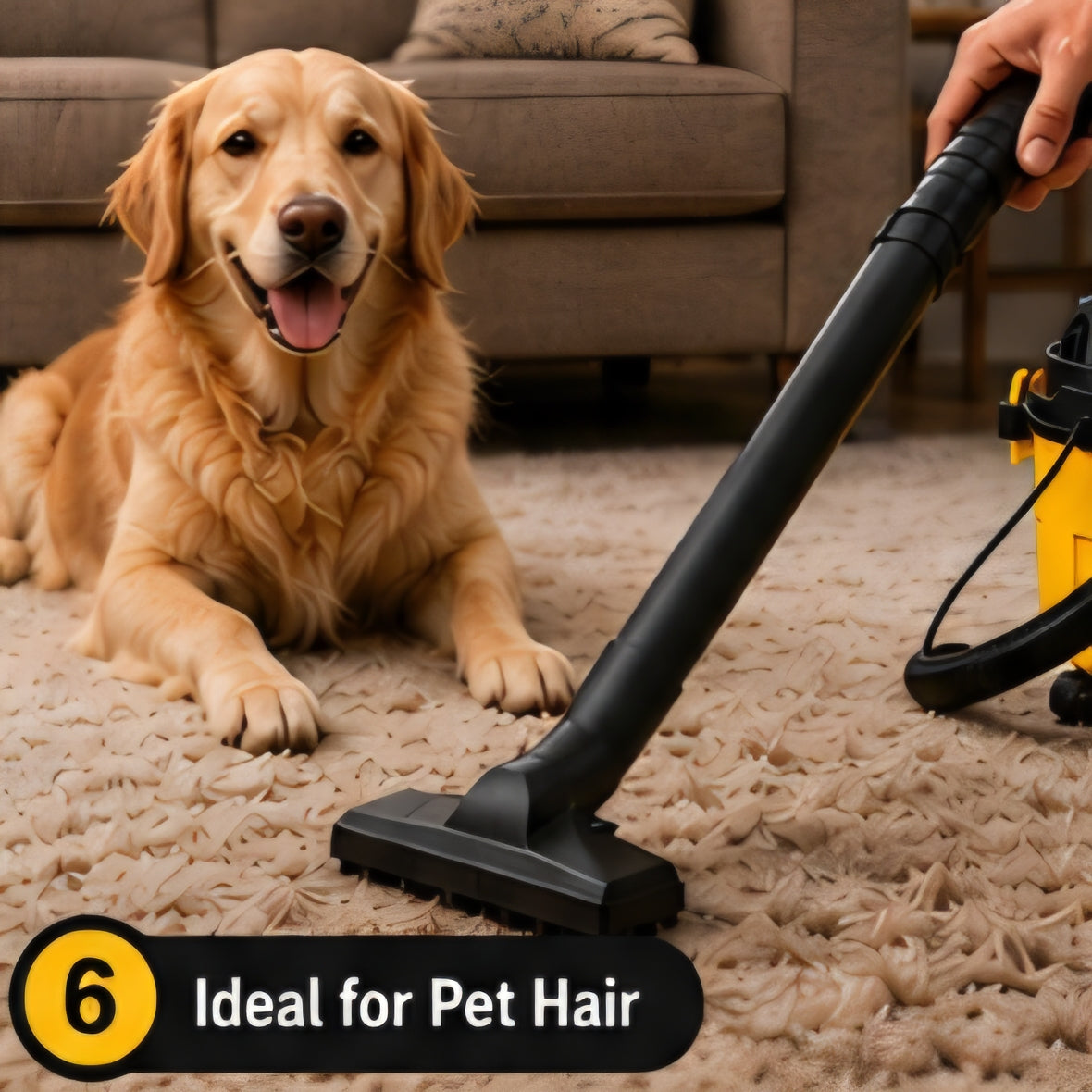 Power Clean Pro 3-in-1 Wet & Dry Vacuum